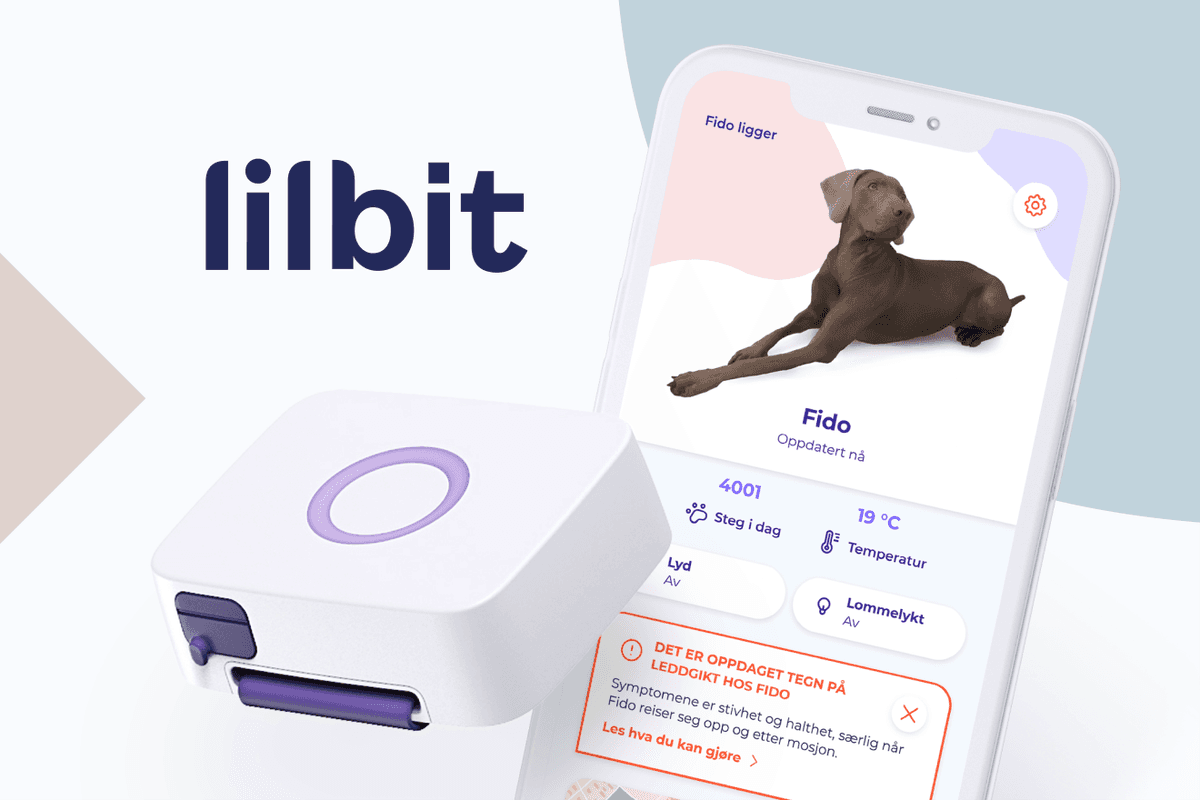 Bilde til UX/UI-designer stilling